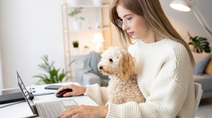 Аудио-уроки помогают новичкам легче начать изучение английского языка