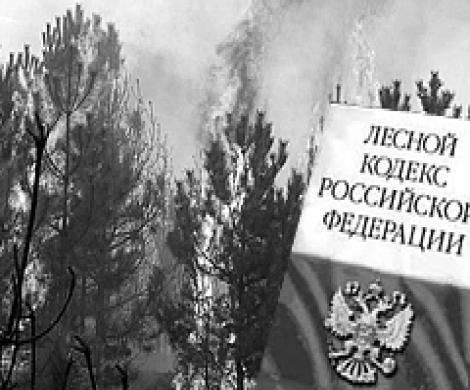 От Лесного кодекса остался только пепел От Лесного кодекса остался только пепел