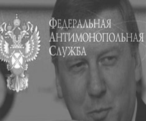 ФАС поделило ведомство Чубайса ФАС поделило ведомство Чубайса