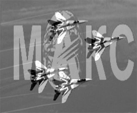 «МиГ» представил колючего «Ската» «МиГ» представил колючего «Ската»