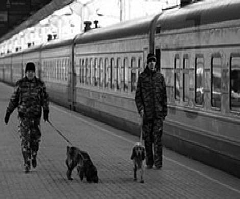 Чердак террористов сохранил их ДНК Чердак террористов сохранил их ДНК