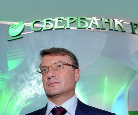 Сбережет ли Греф карьеру? Сбережет ли Греф карьеру?