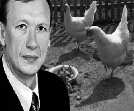 Брянский губернатор оказался в центре «птичьего» скандала Брянский губернатор оказался в центре «птичьего» скандала