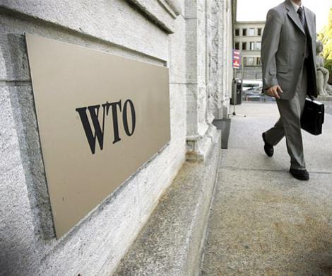 На пороге ВТО встал швейцар из Тбилиси