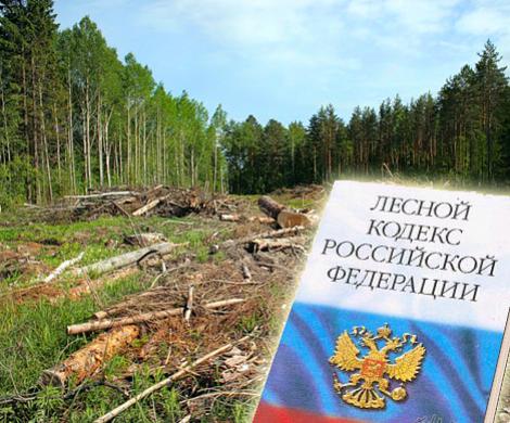 Лужков ополчился на Лесной кодекс Лужков ополчился на Лесной кодекс