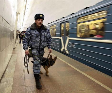 Фанатизм дошел до беспредела Фанатизм дошел до беспредела
