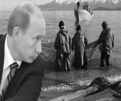 Правительство забрасывает сети Правительство забрасывает сети