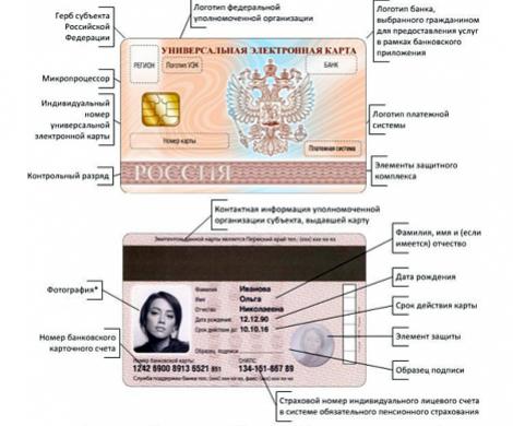 Жизнь инсталлируют в чип Жизнь инсталлируют в чип