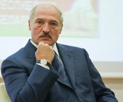 Лукашенко заглянул в карманы оппозиции Лукашенко заглянул в карманы оппозиции