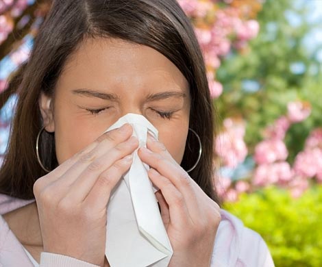 Аллергия — расплата за иммунитет к паразитам