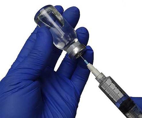 Американские ученые переходят к клиническим испытаниям вакцины от вируса Зика