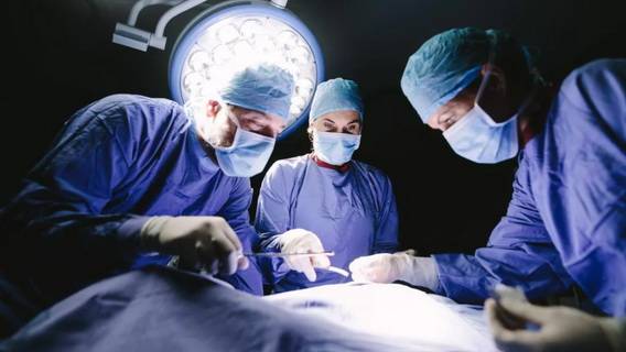 Американские хирурги успешно пересадили почку свиньи человеку с умершим мозгом