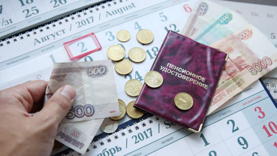 Аналитик Евгений Биезбардис назвал причины бедности российских пенсионеров