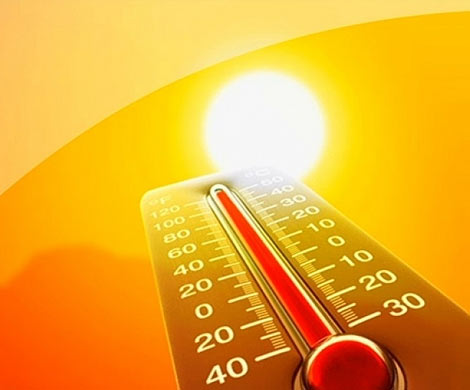 Аномально жаркое лето будет обычным явлением к 2025 году