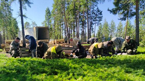 АО «РНГ» начало посадку саженцев сосны на территории Якутии