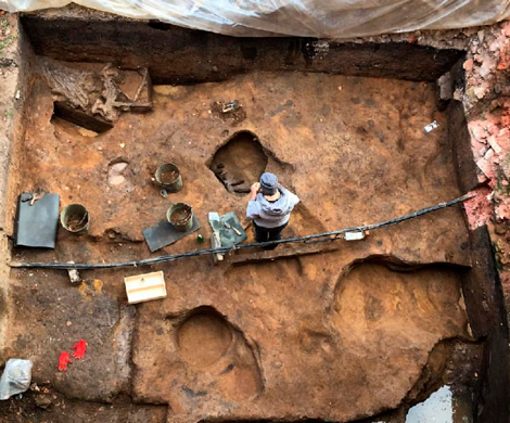 Археологи нашли в Зарайске череп мамонта с кладом внутри