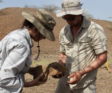 Археологи обнаружили в Кении древнейшие орудия труда возрастом 3,3 млн лет 
