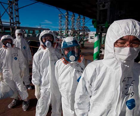 Авария на АЭС "Фукусима-1" стала причиной генетических изменений