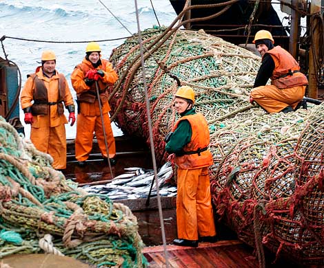 Австралийские рыбаки выловили настоящего морского монстра