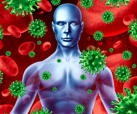 Бактерия помогут укрепить иммунную систему‍