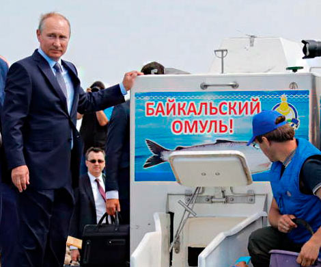 Без президента не клюет Без президента не клюет