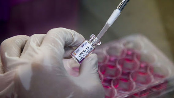Biocad ведет переговоры о возможном производстве вакцины от коронавируса в Китае