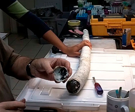Биологи поймали и запечатлели на видео гигантского моллюска-червя‍