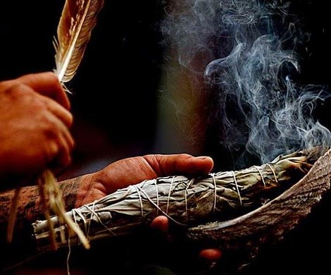 Бразильский шаман пытался провезти в Россию «чай для общения с духами»