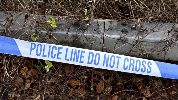 Британский полицейский получил пожизненный срок за убийство и изнасилование Сары Эверард