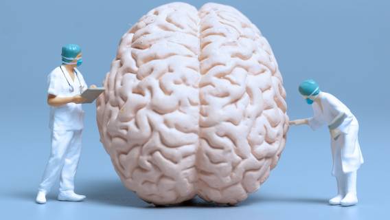 b>Вы видите лицо близкого в уме? Или у вас афантазия?