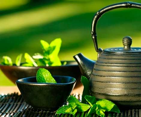Чай помогает укрепить здоровье костей