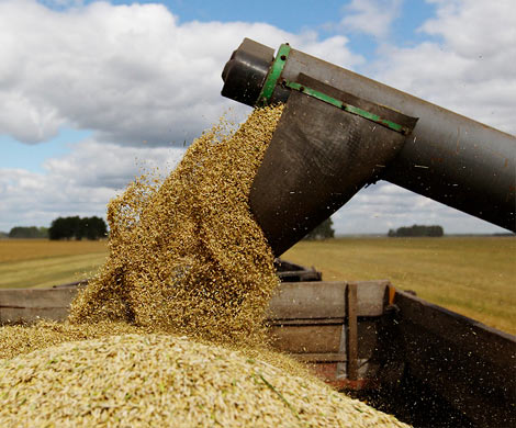 Чем обернется для РФ высокий урожай зерна