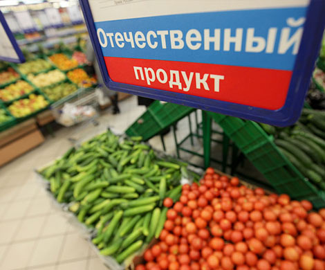 Чем Россия заменит импорт? Чем Россия заменит импорт?