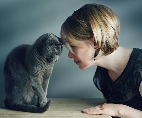 Через пять лет ученые выяснят, о чем говорят кошки