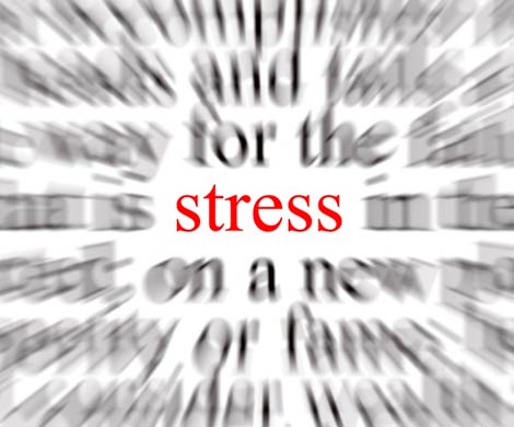 Даже незначительный стресс может стать причиной ранней смерти