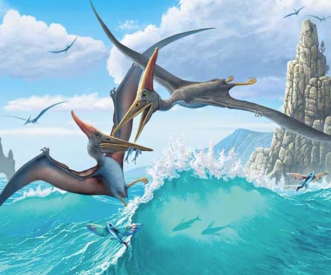 Динозавры могли летать еще 160 миллионов лет назад