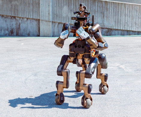 Европейским спасателям‍ поможет "робот-кентавр"