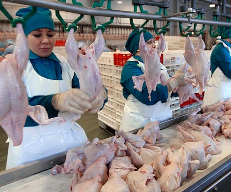 ФАС начала внеплановую проверку производителей мяса птицы ФАС начала внеплановую проверку производителей мяса птицы
