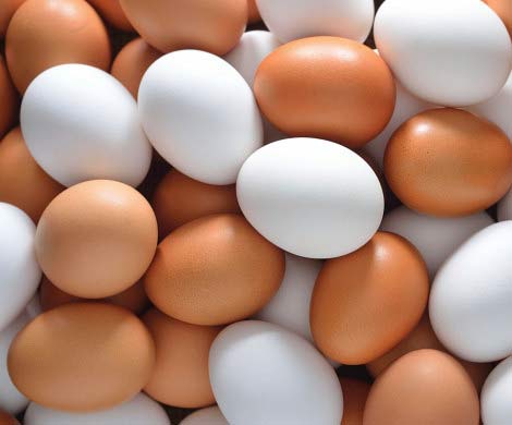 ФАС отмечает рост числа жалоб на подорожание сахара и яиц