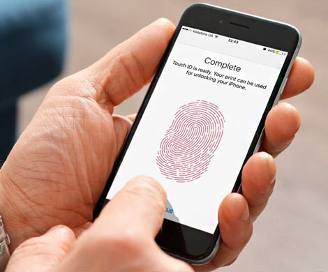 ФБР использует пальцы мертвецов, чтобы разблокировать их iPhone