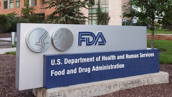 FDA планирует разрешить клинические испытания трансплантации свиных органов