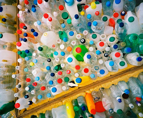 Фермент, разлагающий пластик – надежда для экологии