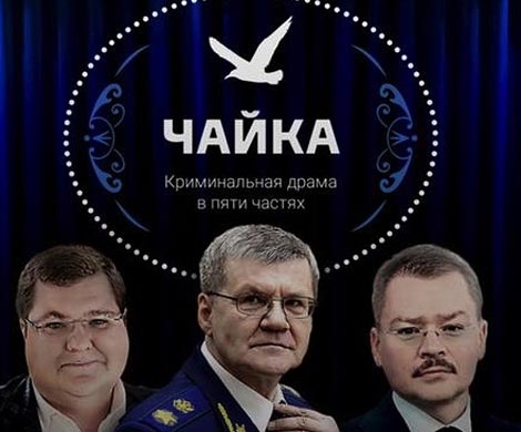 Фильм про Чаек наткнулся в Кущёвской на «цапков» Фильм про Чаек наткнулся в Кущёвской на «цапков»