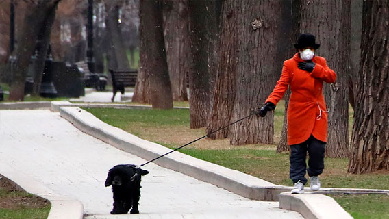 Французы требуют от правительства допуска к прогулкам на природе Французы требуют от правительства допуска к прогулкам на природе