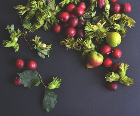 Фрукты и ягоды – круглый год