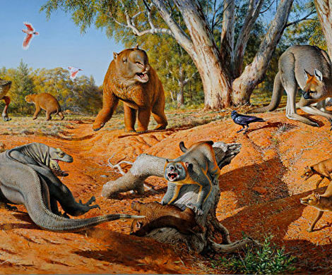 Гигантские животные Австралии вымерли из-за человека
