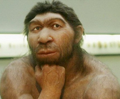 Голландские ученые выяснили, что современные люди на 4% неандертальцы