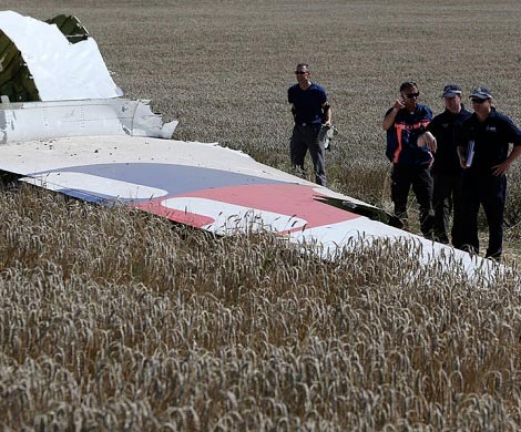 ГП Нидерландов не исключает, что MH17 был сбит ракетой "воздух-воздух"
