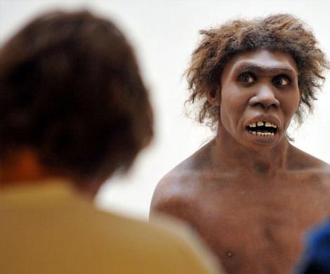 Иммунитет современного человека был сформирован благодаря неандертальцам