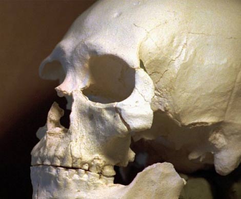 Индейцы требуют вернуть скелет предка возрастом 9 тысяч лет
